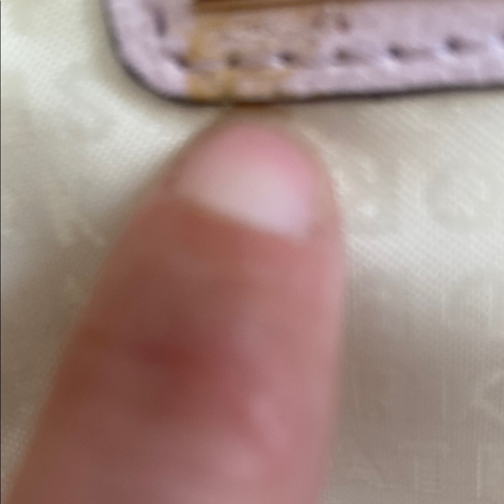 Kate Spade light purple Crossbody Bag - Picture 11 of 13